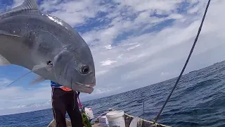 perdana ke laut di hajar IKAN INI