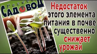 Недостаток этого элемента питания в почве существенно снижает урожай