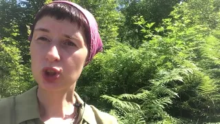Ивана Купала 2018 обзор трав прямо из леса!