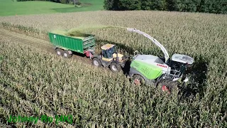 Maishäckseln 2019 Teil 3 LU Krumm Claas Jaguar 950, JCB, Fendt, Deutz, Kröger, Fliegl ASW[4K]