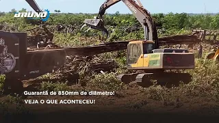 TITAN ENCARA QUALQUER OPERAÇÃO FLORESTAL - Guarantã de 850mm de diâmetro!
