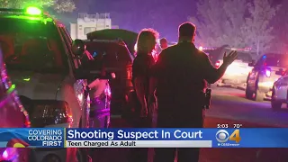 Suspected Gunman In Police Officer Shooting Charged As Adult