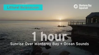 One Hour of Sunrise + Ocean Sounds from Monterey Bay to Relax/Study/Work To | Littoral Relaxocean