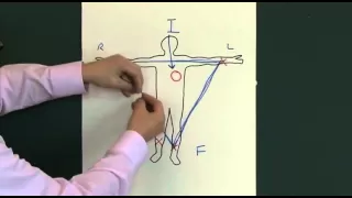 12 Lead EKG (ECG)