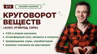 Круговорот веществ: углерод, азот, сера | ЕГЭ Биология | Даниил Дарвин