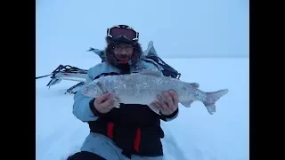 Отличная рыбалка на перемёт,смотреть до конца.