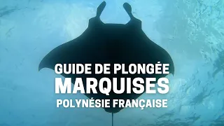 Guide Ultime de la plongée aux Marquises