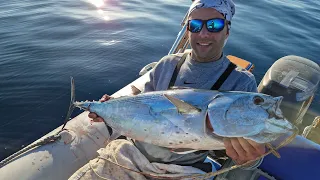 Luc 8,5 kg - fast jigging sa Šolte