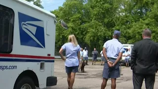 US Postal Service works to train mail carriers on how to avoid dog attacks