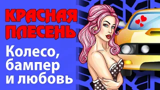 Красная Плесень - Колесо, бампер и любовь | Лучшие песни