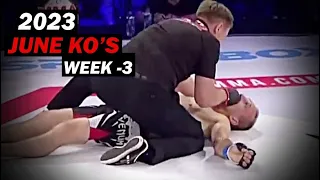 MMA & Boxing Knockouts I June 2023 Week 3