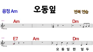 오동잎 최헌 Am  /M.R 반주 # 전.간주 계명표기 ★통기타 악보영상 반복