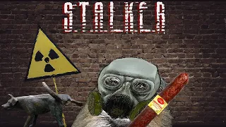 Stalker - Тень Чернобля (# 2)