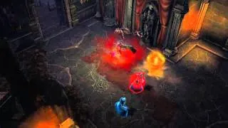 Diablo III - Character Gameplay Trailer - PC