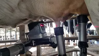 vms delaval