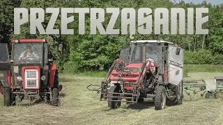 🇵🇱Przetrząsanie na 2㋛︎Polskie Sianokosy 2023㋛︎Ursus&Zetor㋛︎Lubuskie