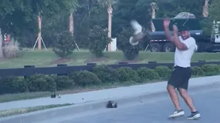 Protective mother duck fights off man helping her ducklings cross the road