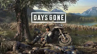 playing days gone with ryzen 7 5800x in max settings