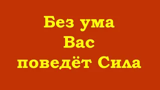 Без ума Вас поведёт Сила – самым лучшим способом