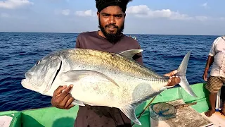 Giant Trevally Caught Using Live Indian Mackerel Bait