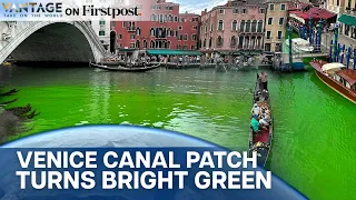 Why Venice Canal’s Water is Turning Bright Green | Vantage on Firstpost