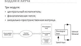 Рабочая память. Модели и основные положения