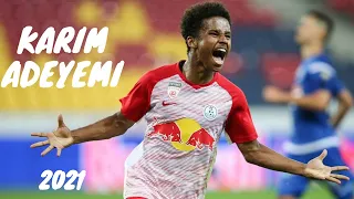 Karim Adeyemi 2021/2022 ● Best Skills and Goals [HD]