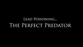 Lead Poisoning... The Perfect Predator