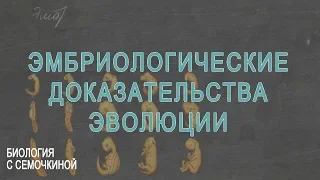 Эмбриологические доказательства эволюции