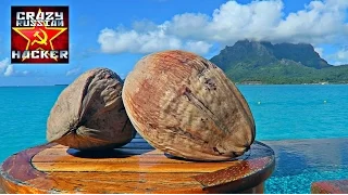 How to Husk and Open Coconut without Tools
