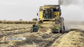 В Кизлярском районе в разгаре уборка риса