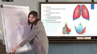 Biologia - SP - egzamin ósmoklasisty. Budowa i funkcjonowanie układu oddechowego