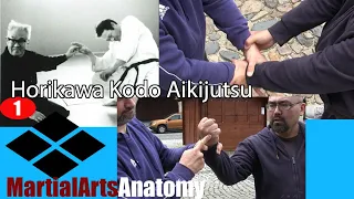 Рассматриваем мастеров айкидзюцу Kodo Horikawa -1