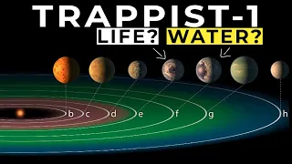 What Makes TRAPPIST 1 So Special?