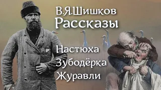 Аудиокнига В.Я.Шишков Сборник веселых рассказов №1