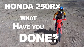 Honda, what have you done here?  2022 CRF250RX seen like never before