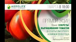Секреты выращивания томатов в открытом грунте. Новинки 2019 года