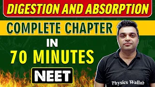 DIGESTION AND ABSORPTION in 70 minutes || Complete Chapter for NEET