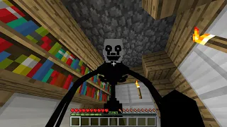 【Minecraft】マインクラフトの色々な死に方で棺桶ダンス/Japanese Minecraft Coffin Meme【マイクラ】【棺桶ダンス】