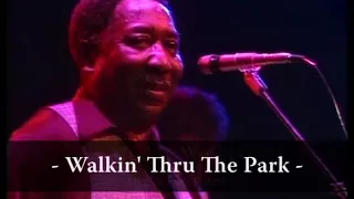 Muddy Waters - Walking Thru The Park (Live At Rockpalast 1978)