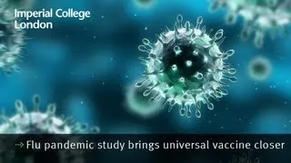 Flu pandemic study brings universal vaccine closer