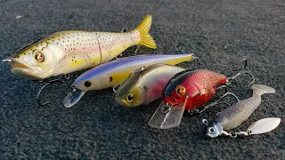 Top 5 Baits For Early Spring Bass Fishing! ( How To Fish Them )