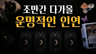 타로속마음🕯조만간 다가올 ♥️운명적인 인연♥️ '이런 마음'을 가지고 당신에게 '이렇게' 다가갈 거에요.🕊