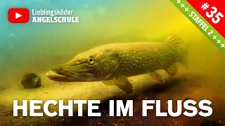 Hechtangeln im Fluss mit Gummifisch 🔥🎣👍🏼