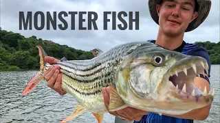 Catching Monster Fish on Big Live Baits! Part 2