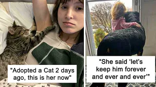 Pets Adopted Who Brought Joy To Their New Owners And The Entire Online Community