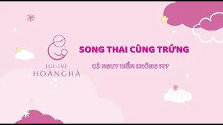 IVF - Song Thai Cùng Trứng Có Nguy Hiểm Không