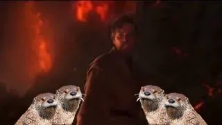 It's over Anakin, I have the sea otters