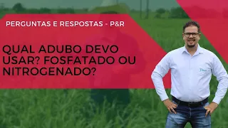 Qual ADUBO utilizar em PASTAGEM: FOSFATADO ou NITROGENADO?