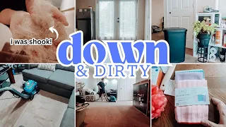 DEEP CLEANING OUR DISGUSTING BASEMENT | CARPET SHAMPOOING AND DOG HAIR FILLED STAIRS!